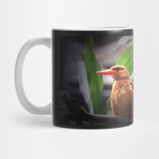 Ruddy Kingfisher Mug